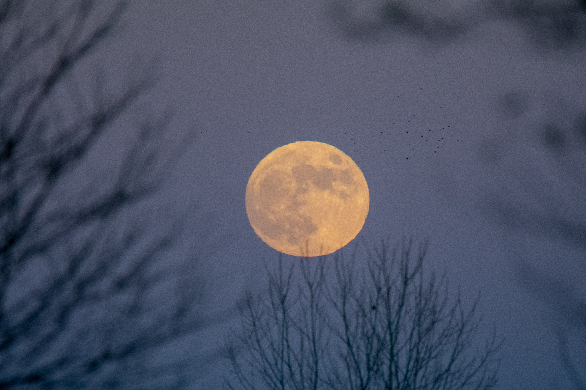 Moon