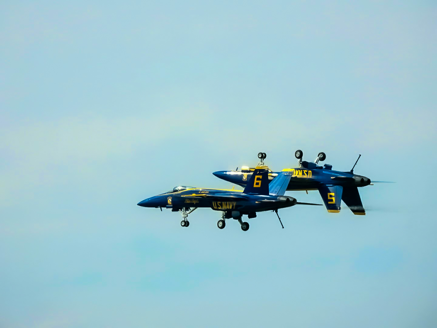 Blue Angel